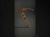 Antique Brass Screwdriver model pack Low-poly 3D model_2