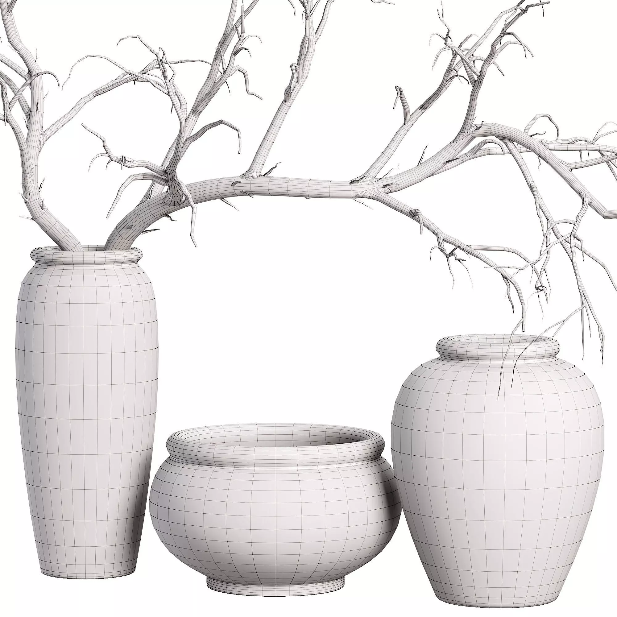 Decorative Vases with Branches 3D model_5