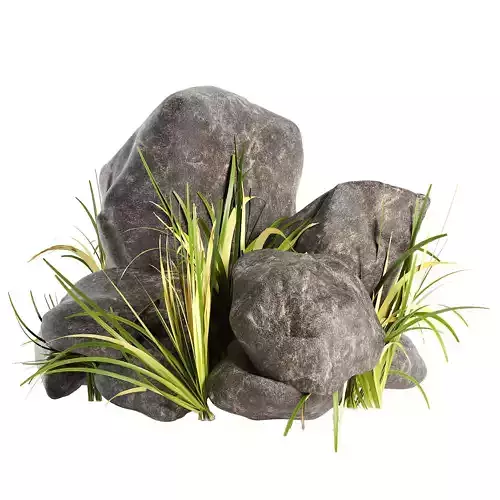 Rock with Grass