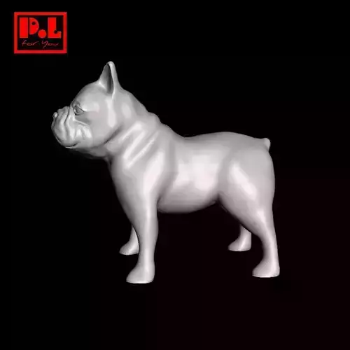 Dog - French bulldog