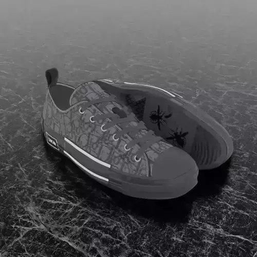 CHRISTIAN DIOR B23 LEAGUE OBLIQUE 3D SHOES