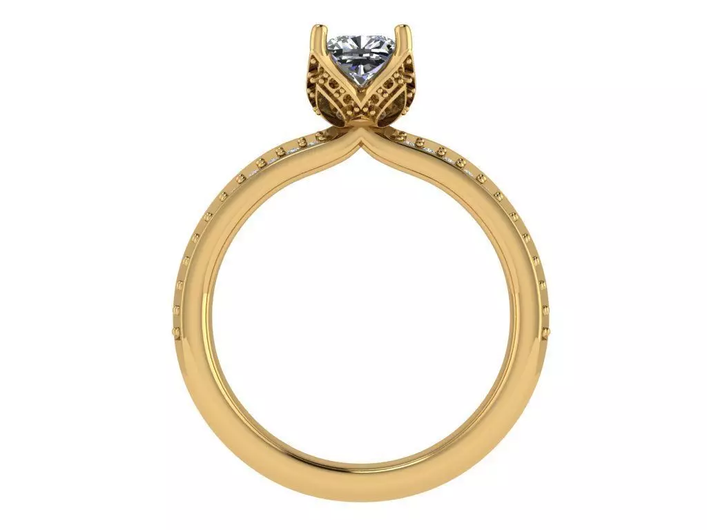 round solitaire 2 row of diamond on shank 3D print model_1