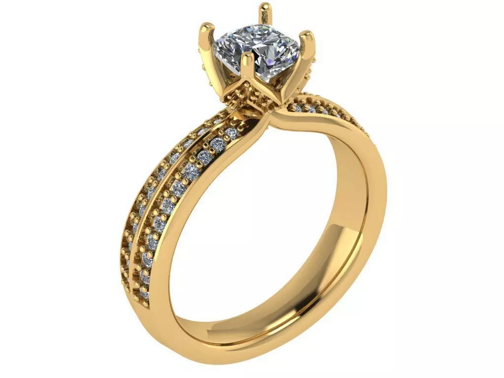 round solitaire 2 row of diamond on shank 3D print model_0