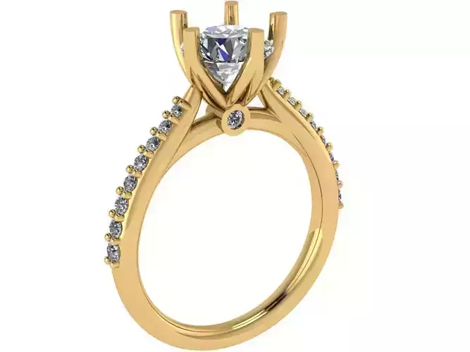 6 prongs cathedral ring 