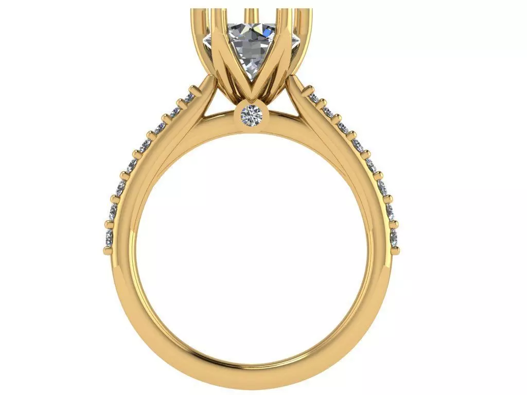 6 prongs cathedral ring 3D print model_1