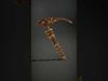 19th Century Mechanical Marvels 3D Model Collection_20