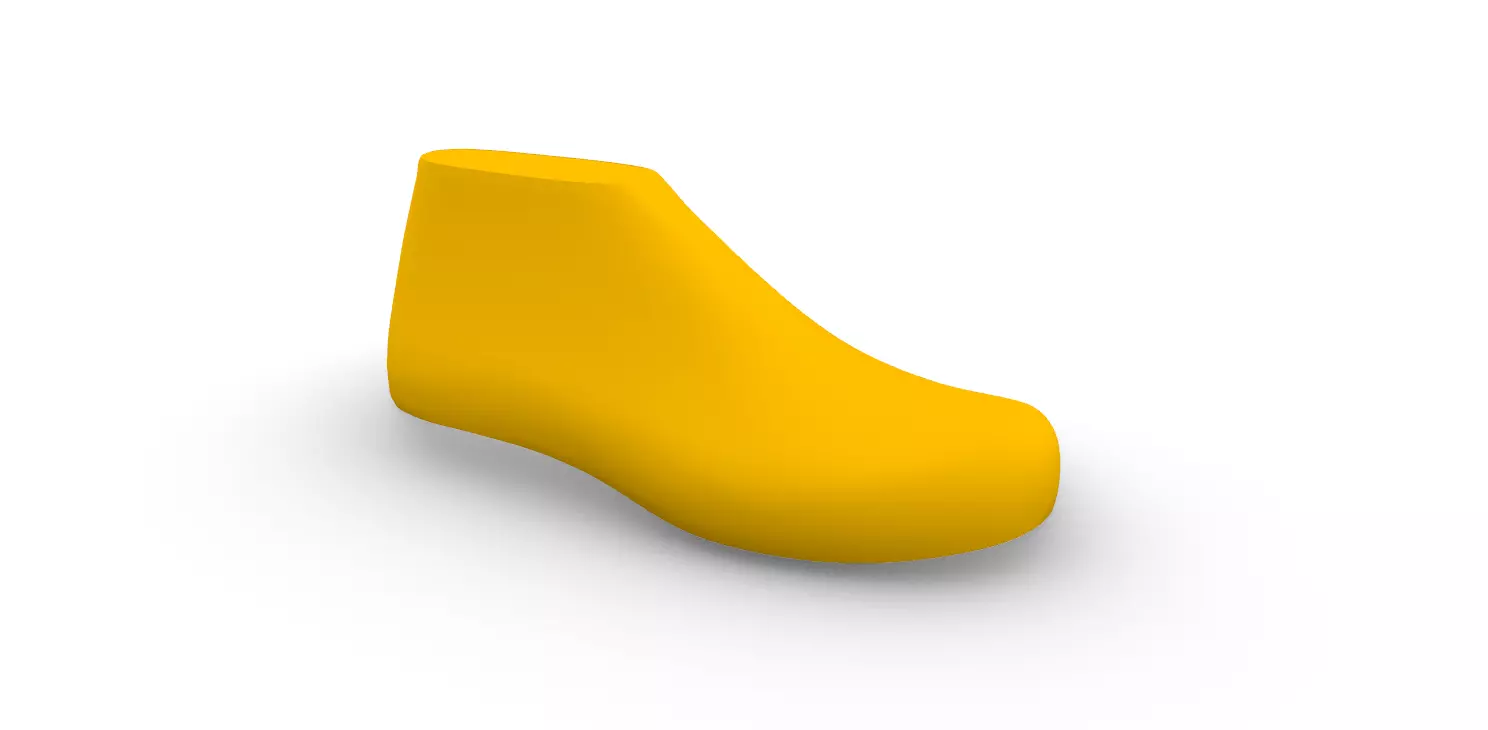 Male Shoe Last With Insole 3D print model_0