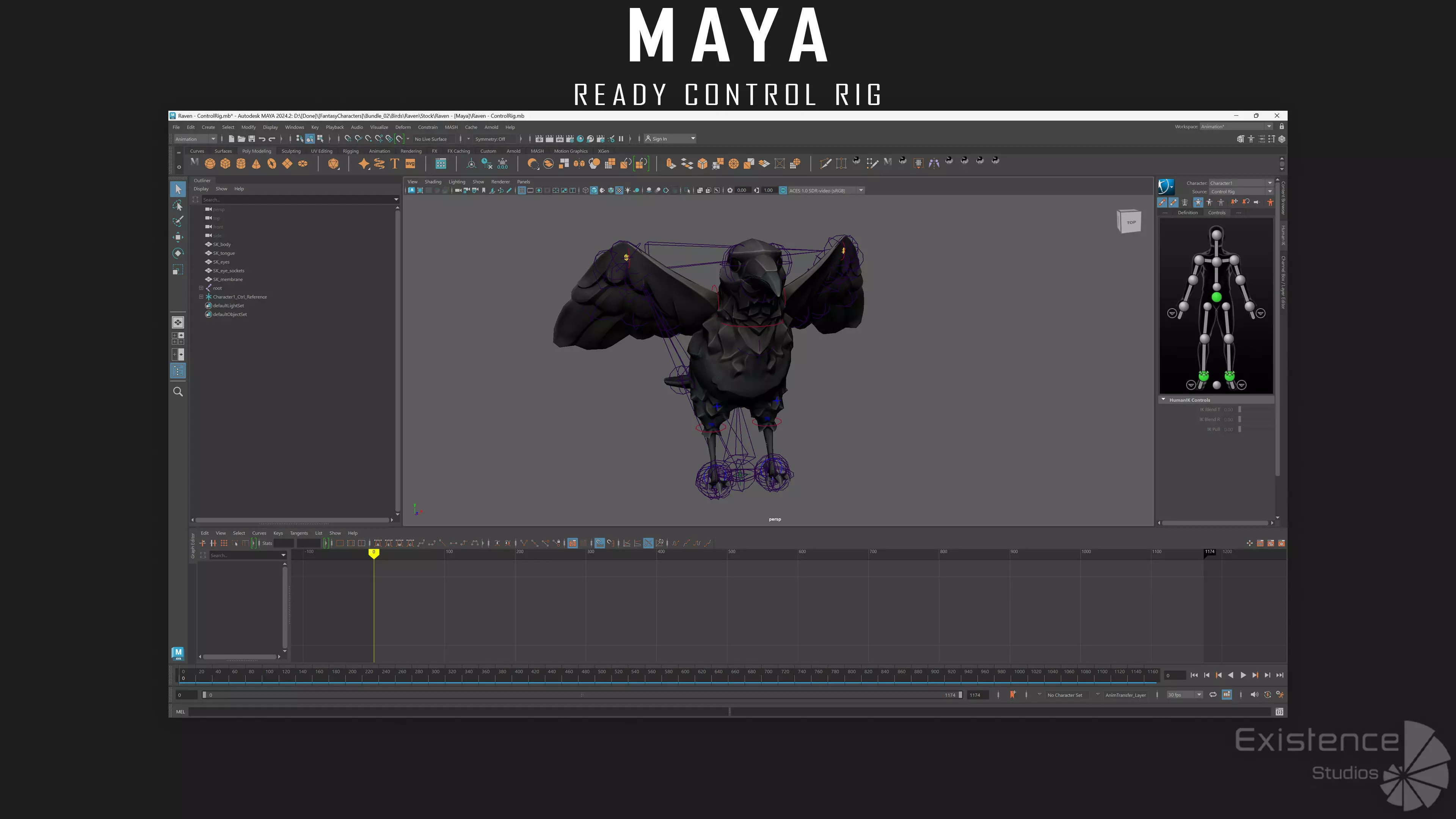 Raven - Flying System - Bird Behavior - 75 Low-poly 3D model_12