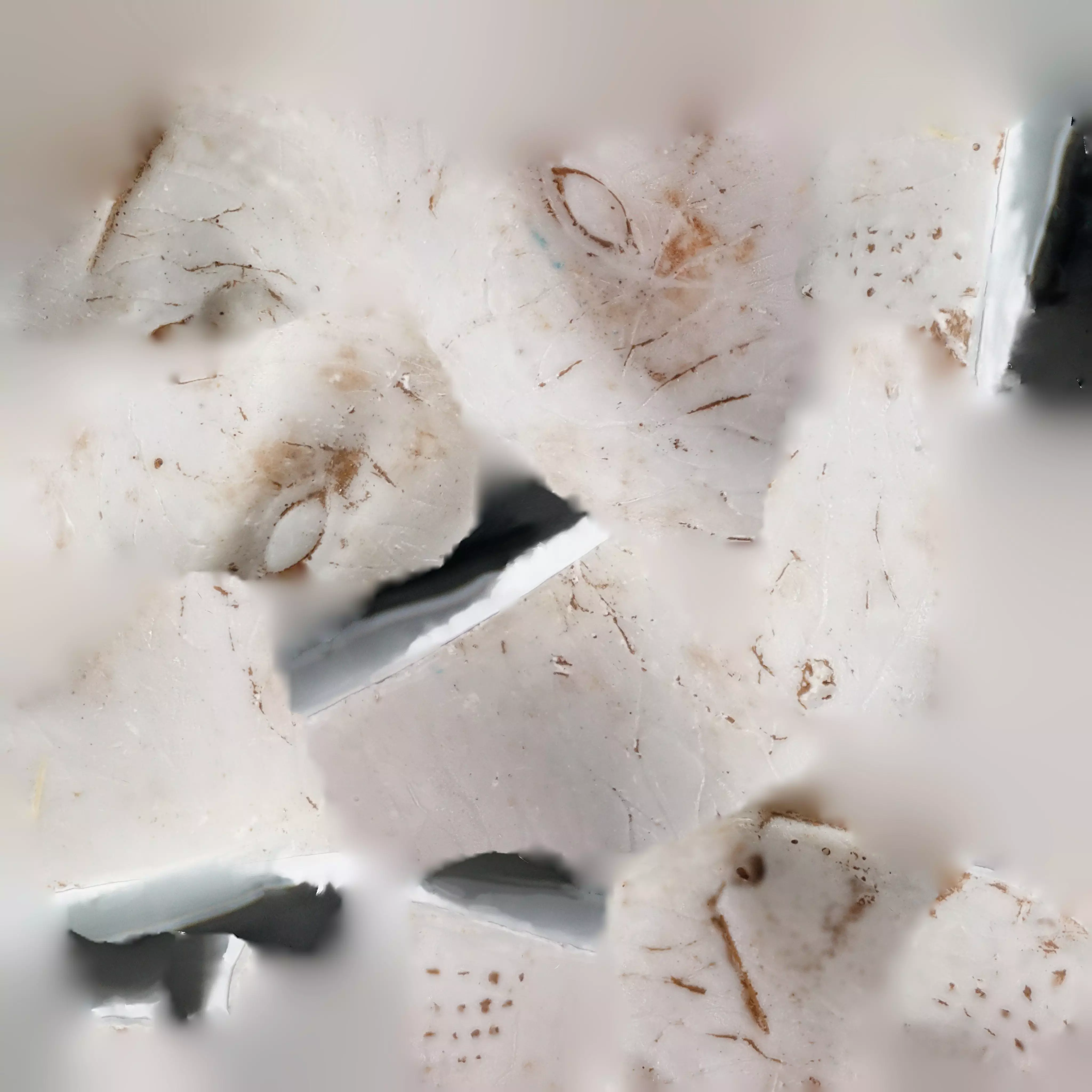 Nemrut Eagle Statue 3D Model 3D model_4