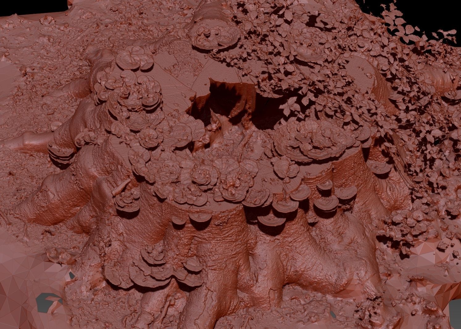 Shroom covered tree stump 3D scanned 3D model_12