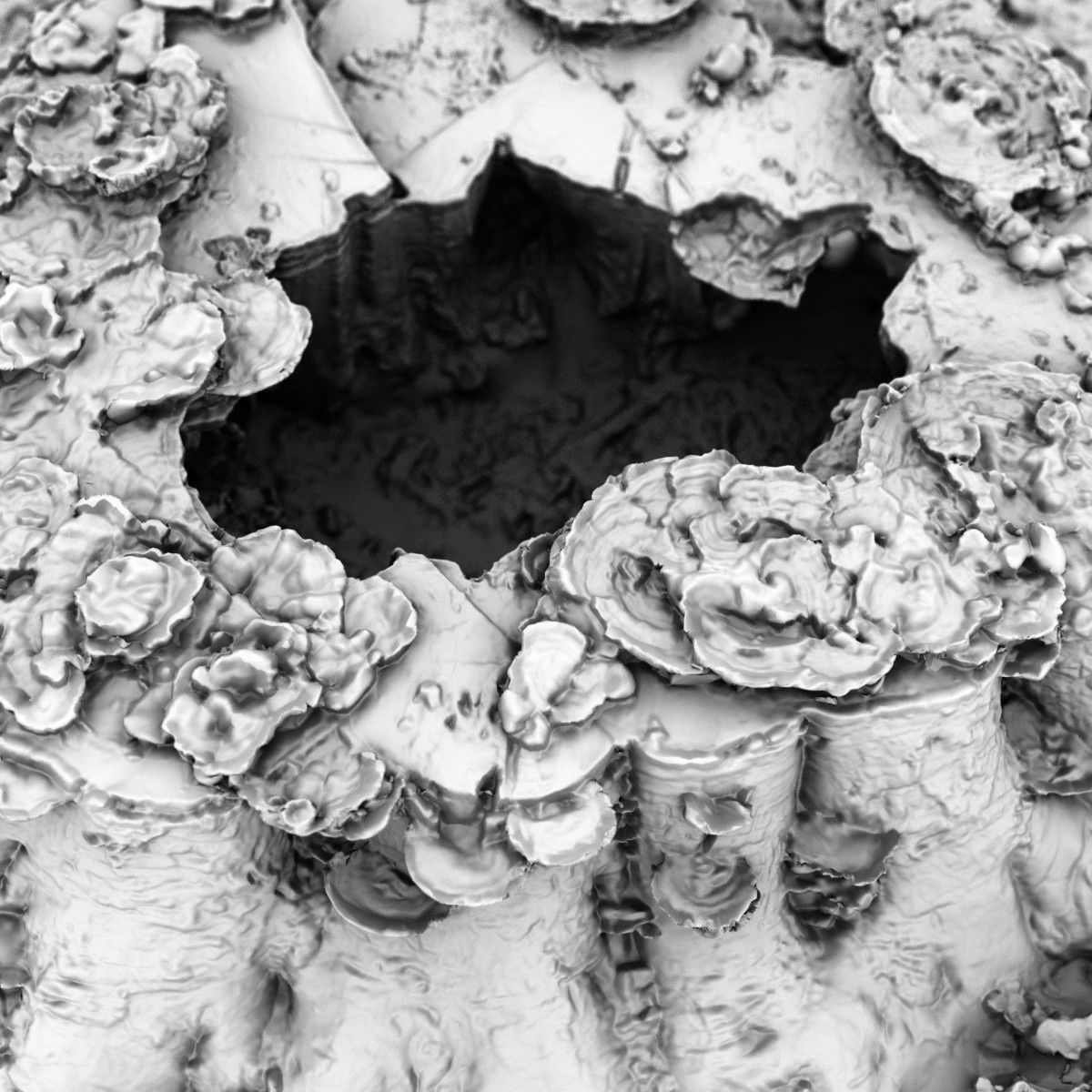 Shroom covered tree stump 3D scanned 3D model_5