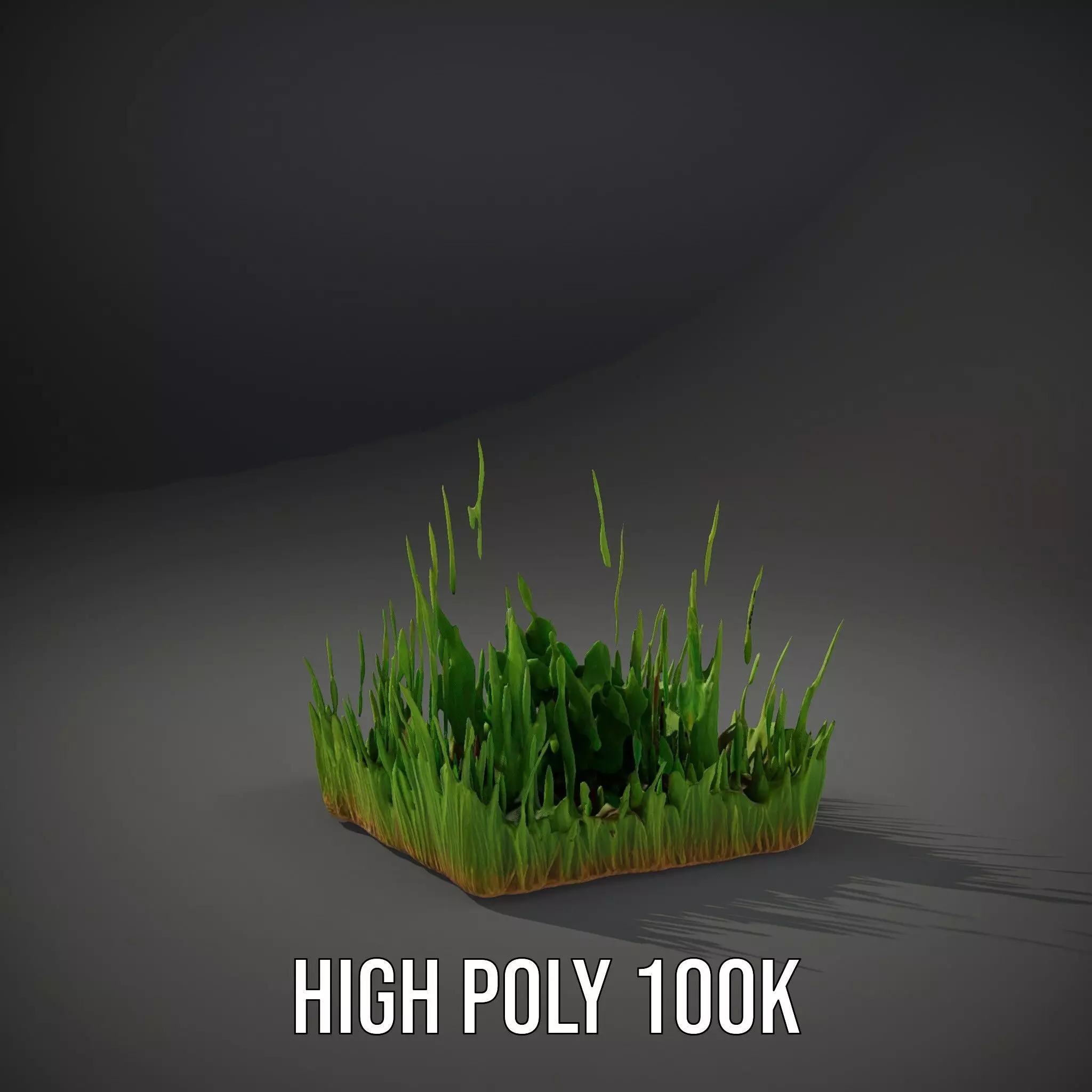 Lush Green Grass model pack Low-poly 3D model_32