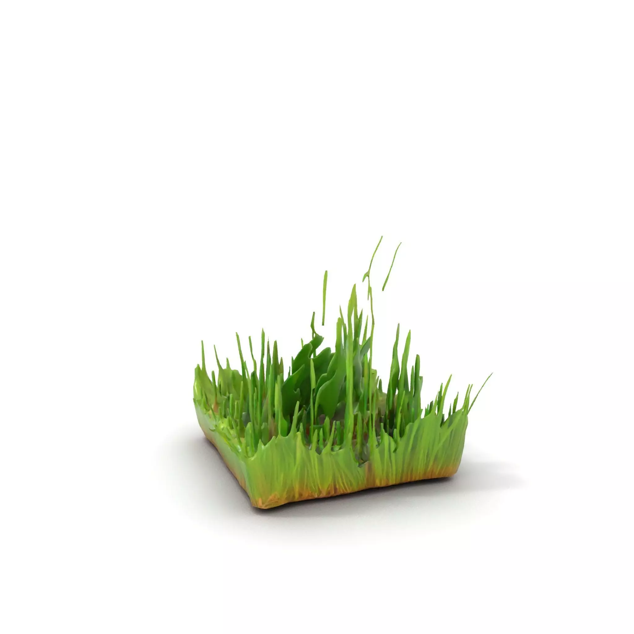 Lush Green Grass model pack Low-poly 3D model_10