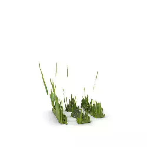 Lush Green Grass model pack Texture