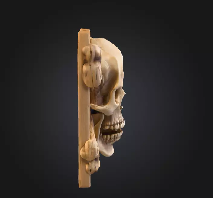 Skull and Crossbones Emblem Low-poly 3D model_5
