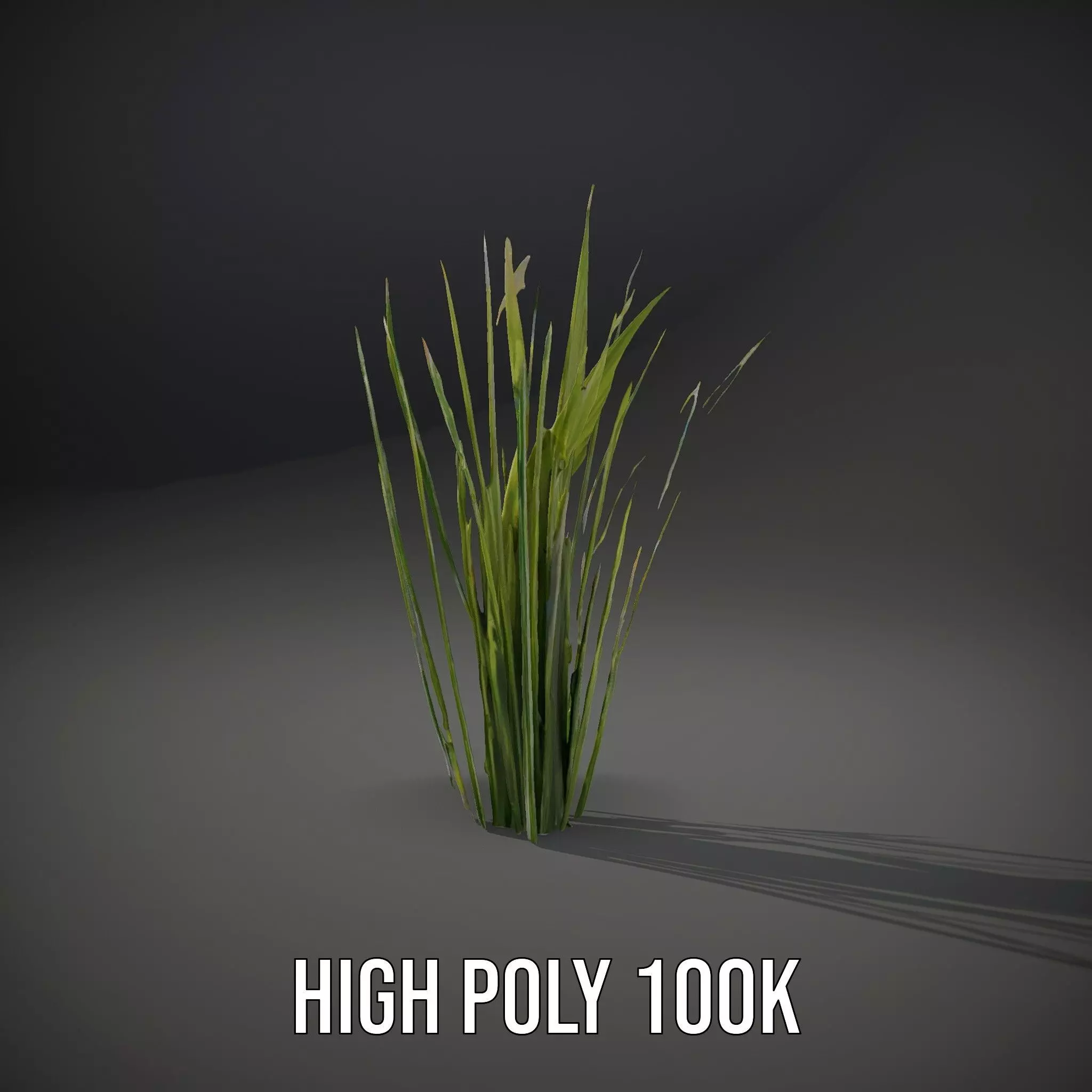 Tall Grass Foliage model pack Low-poly 3D model_28