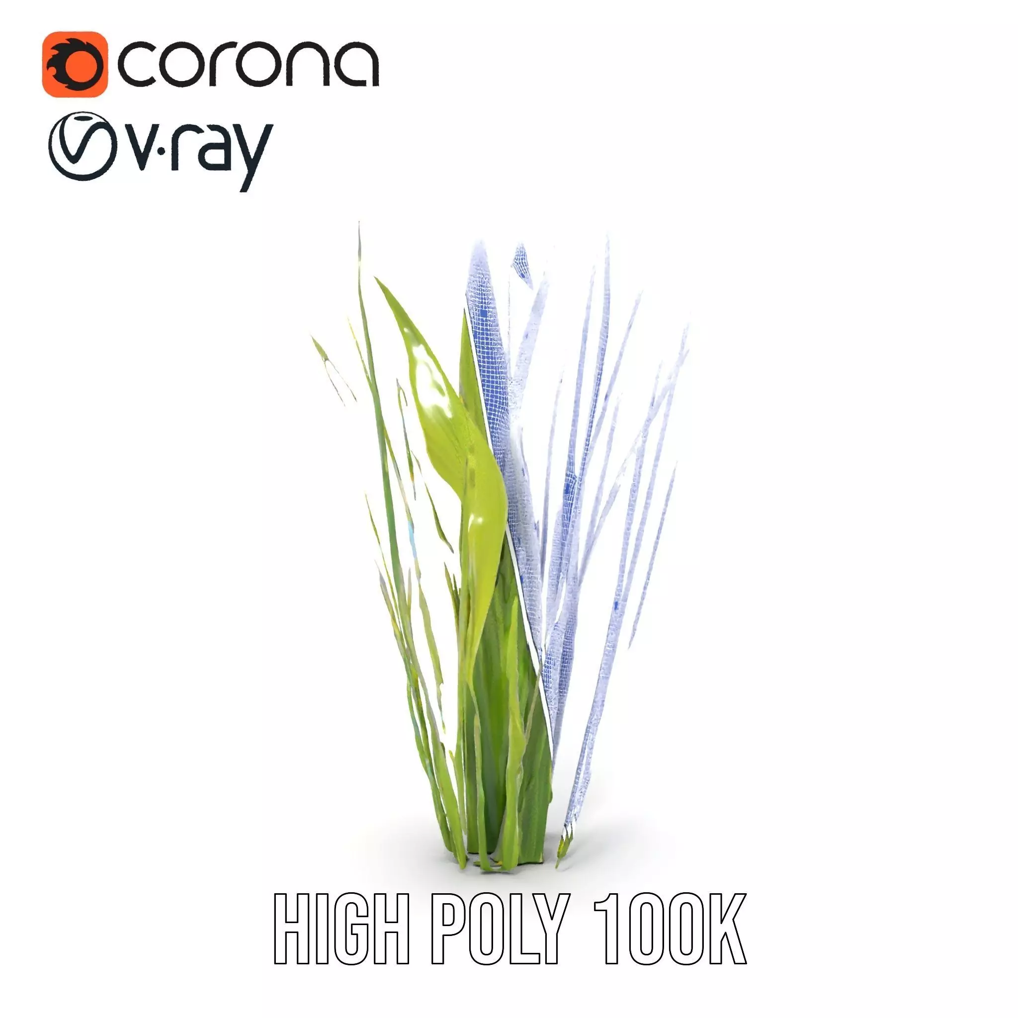 Tall Grass Foliage model pack Low-poly 3D model_34