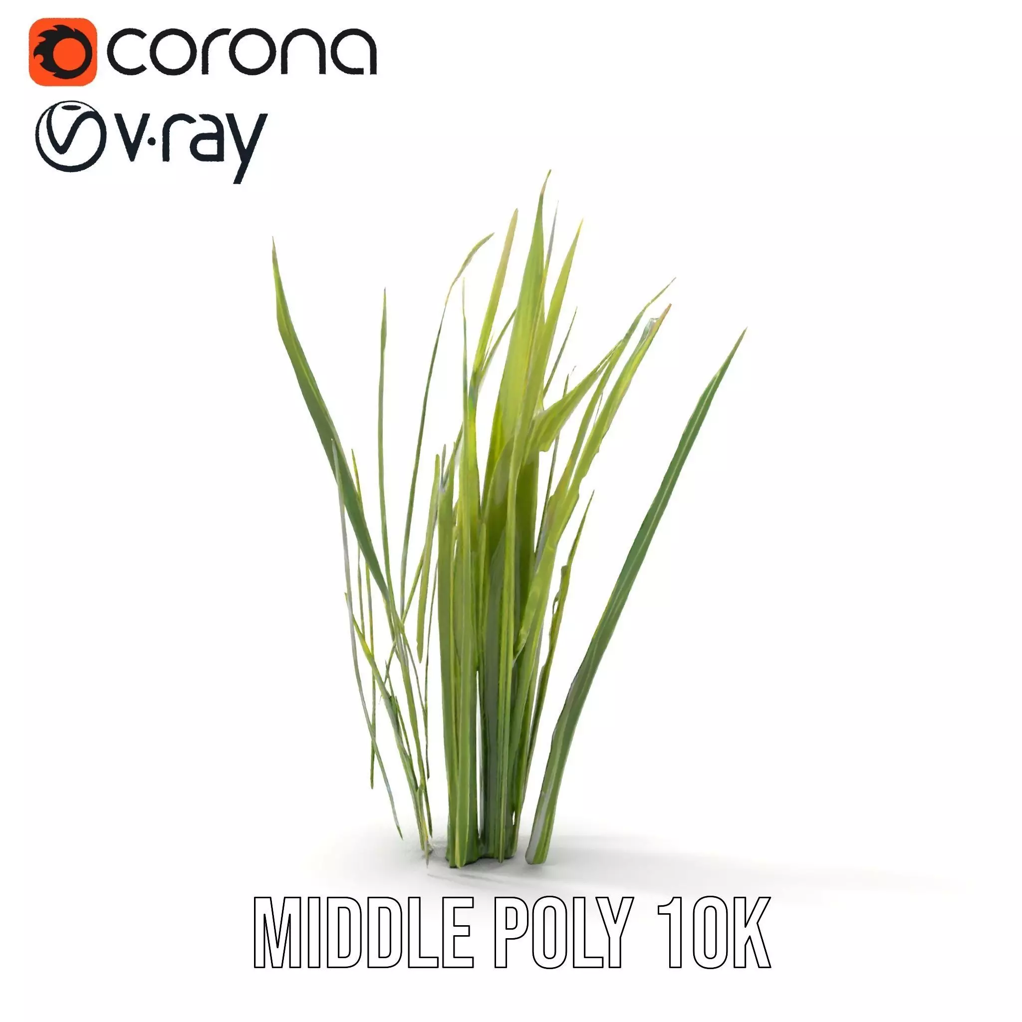 Tall Grass Foliage model pack Low-poly 3D model_18