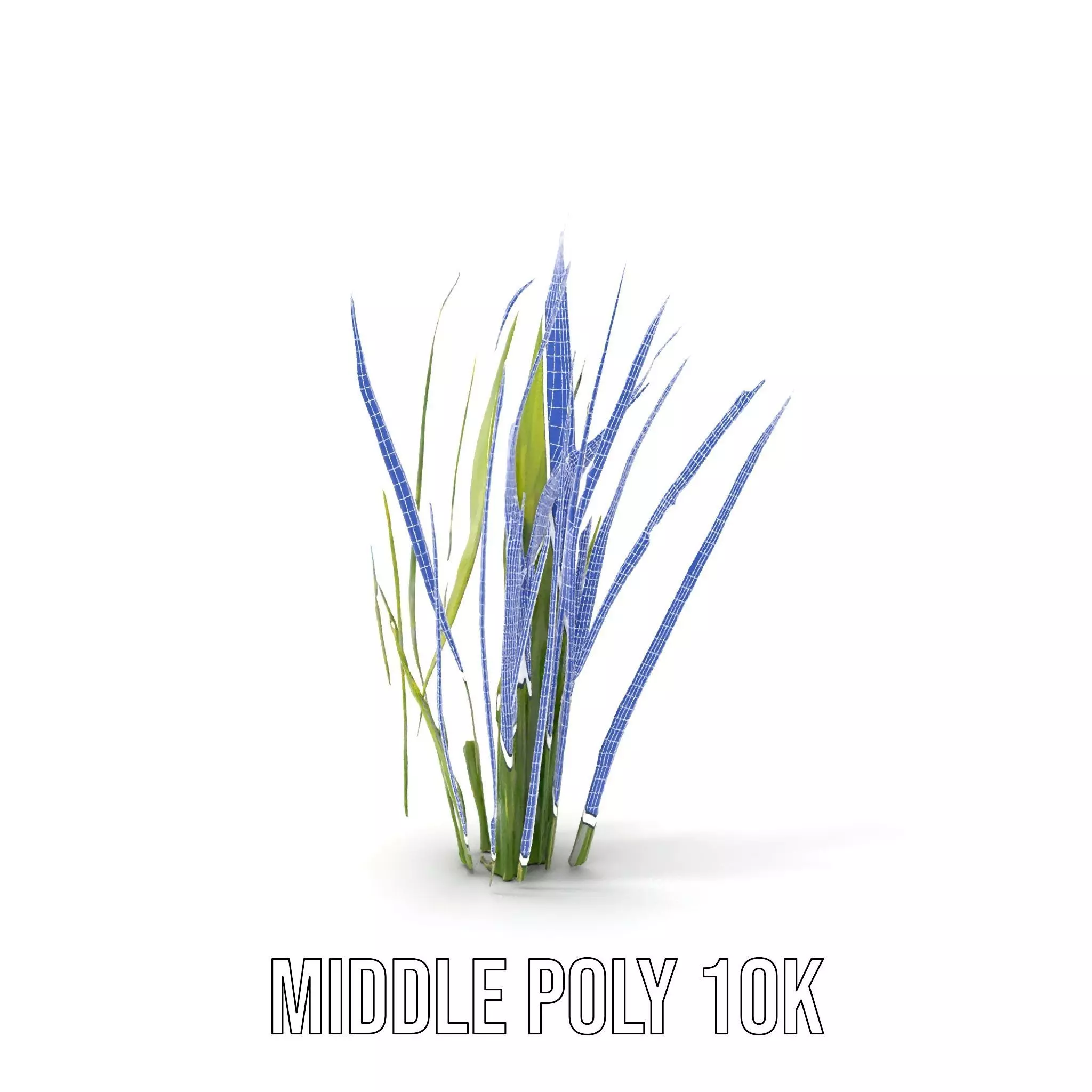 Tall Grass Foliage model pack Low-poly 3D model_20