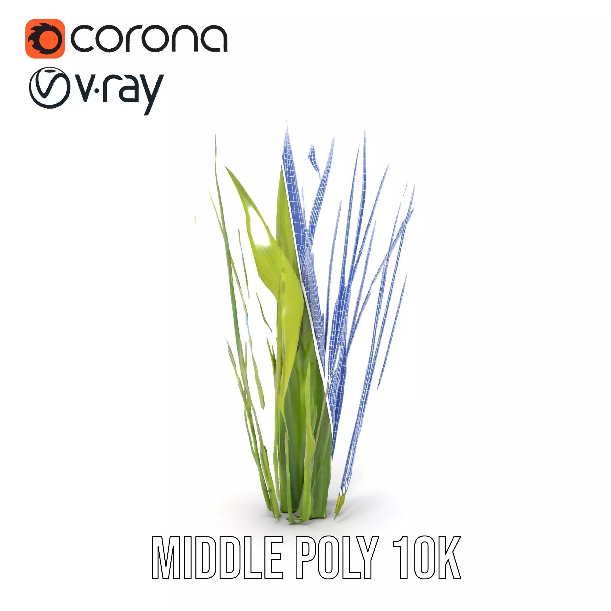 Tall Grass Foliage model pack Low-poly 3D model_29