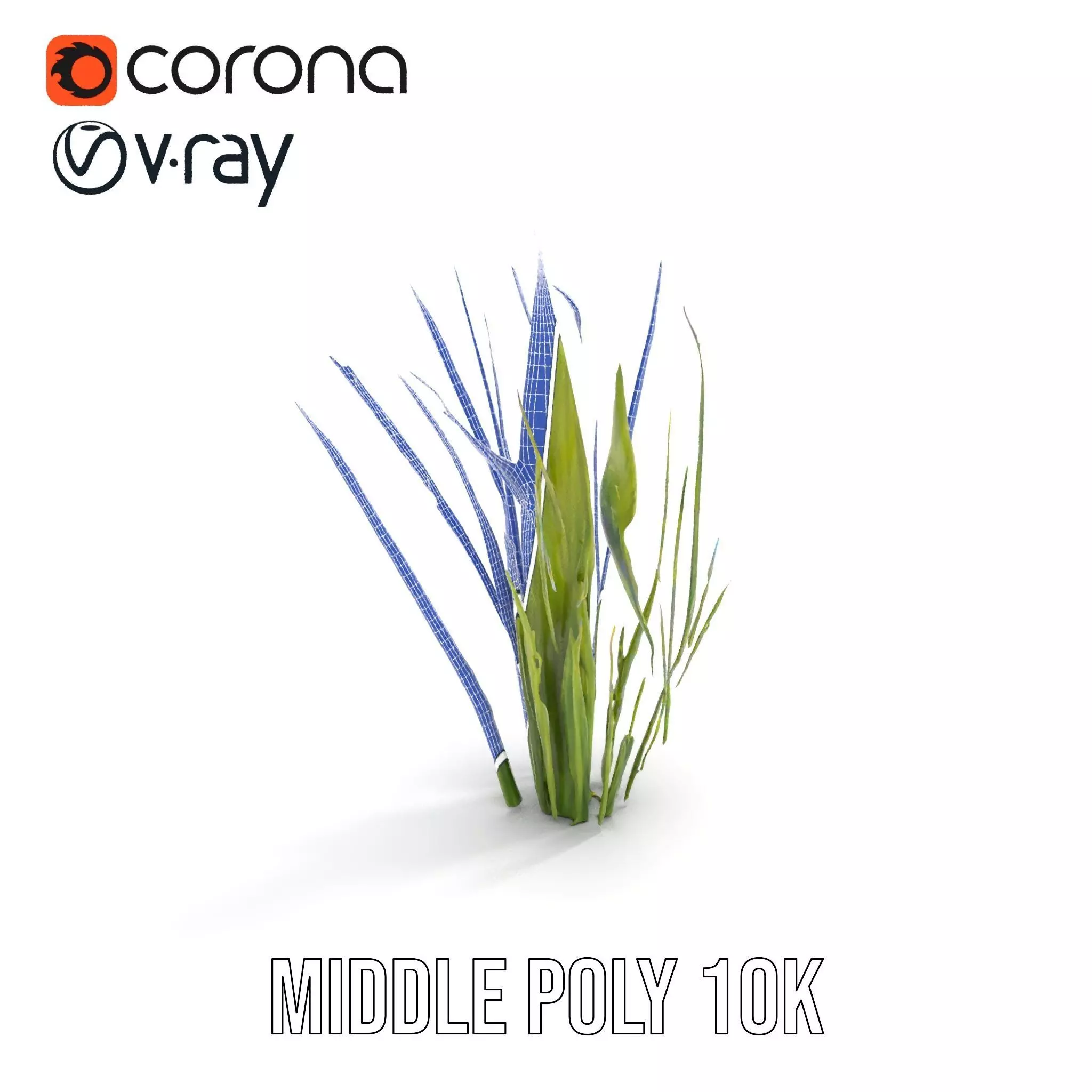Tall Grass Foliage model pack Low-poly 3D model_15