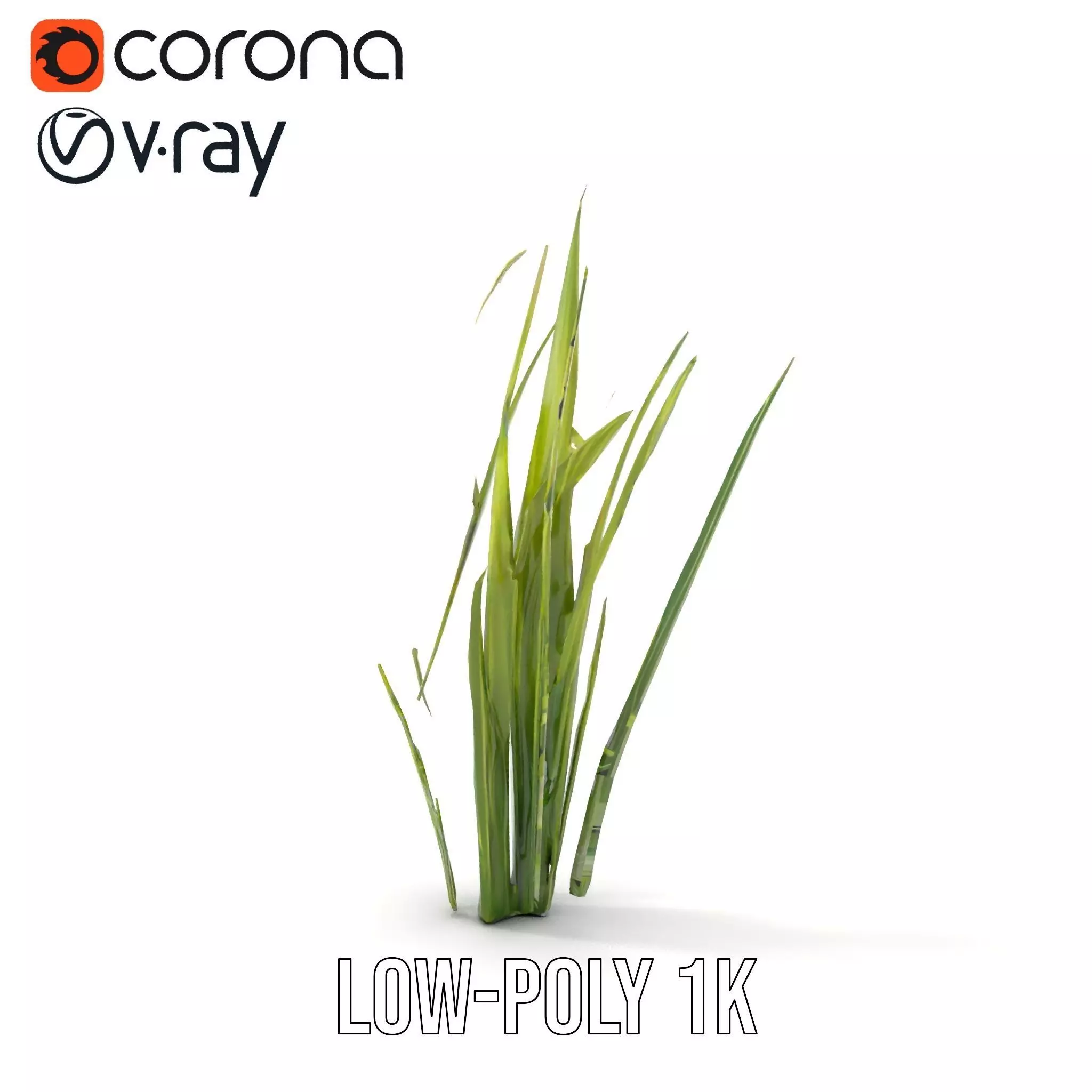 Tall Grass Foliage model pack Low-poly 3D model_16