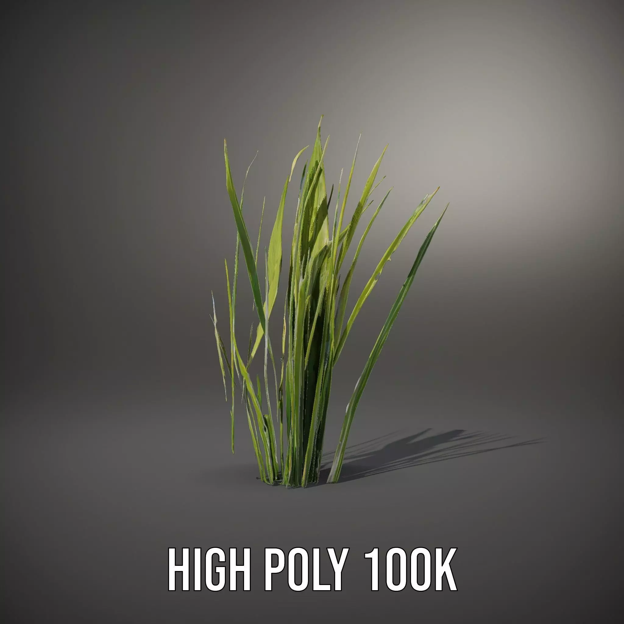 Tall Grass Foliage model pack Low-poly 3D model_31