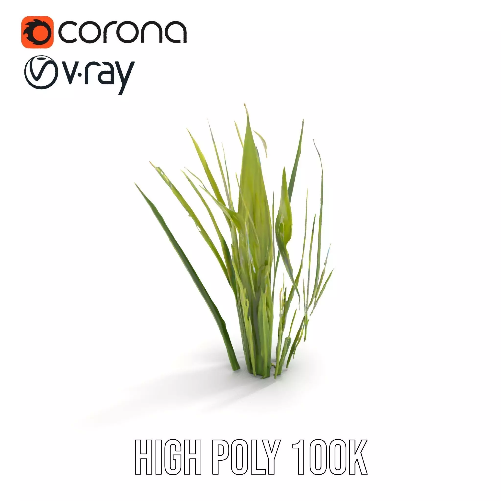 Tall Grass Foliage model pack Low-poly 3D model_9