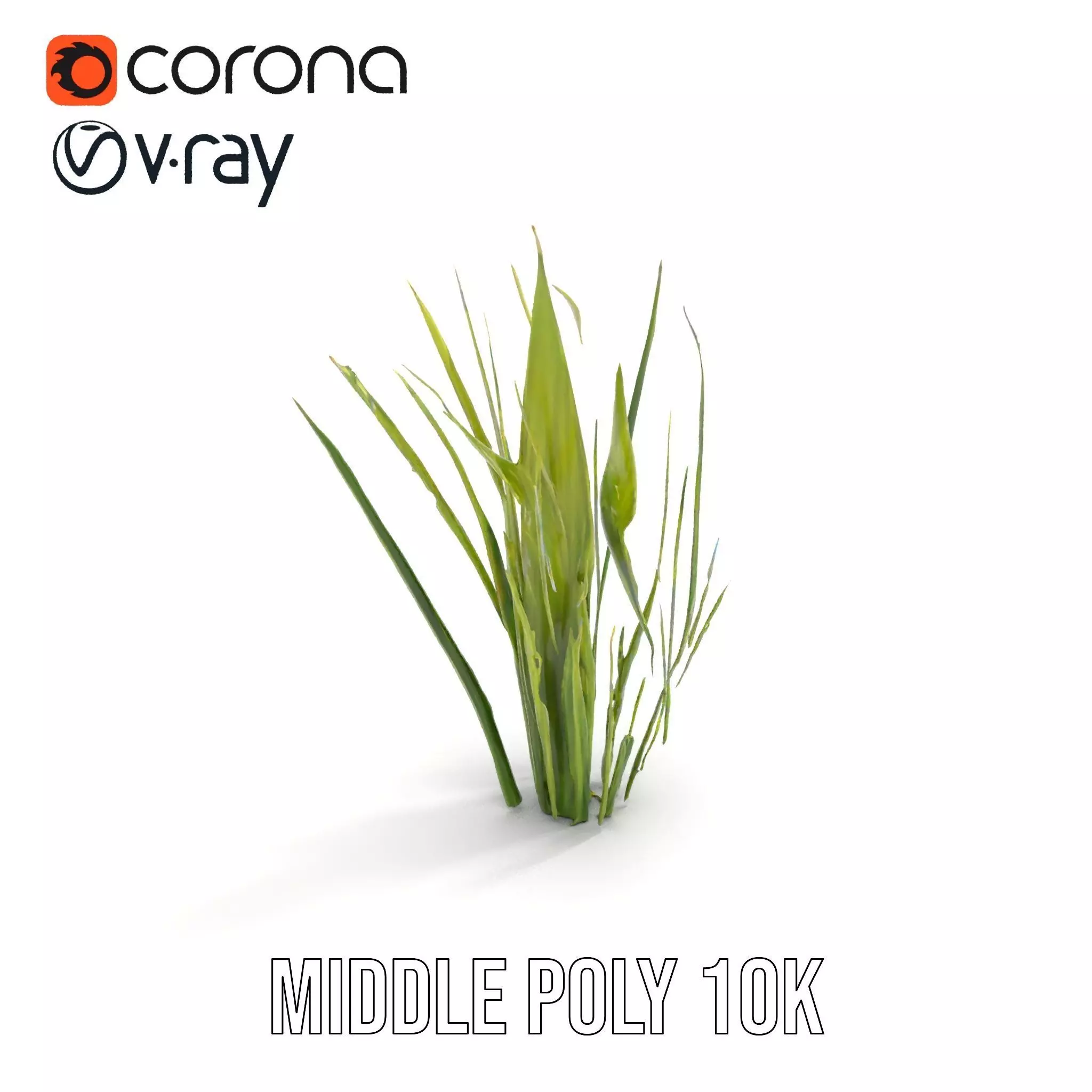 Tall Grass Foliage model pack Low-poly 3D model_12