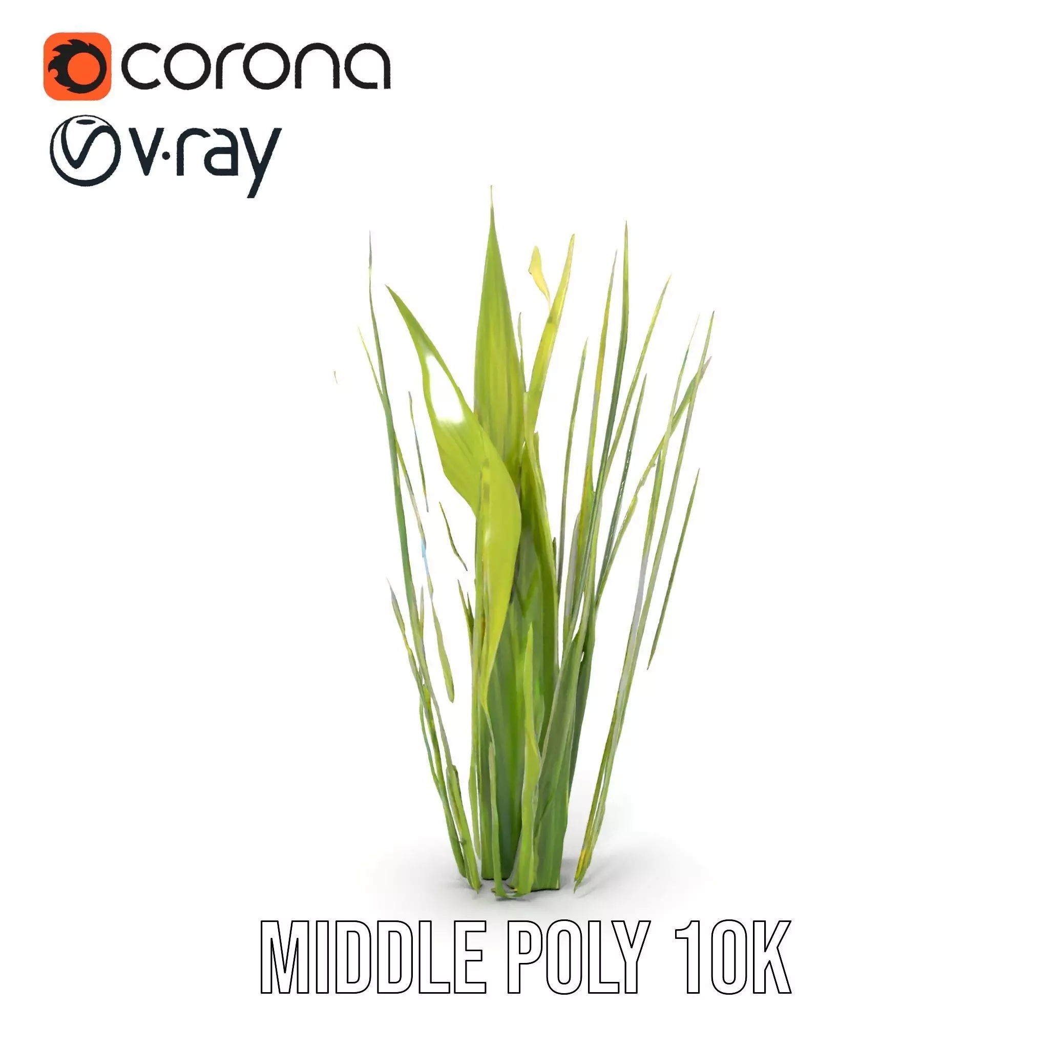 Tall Grass Foliage model pack Low-poly 3D model_10