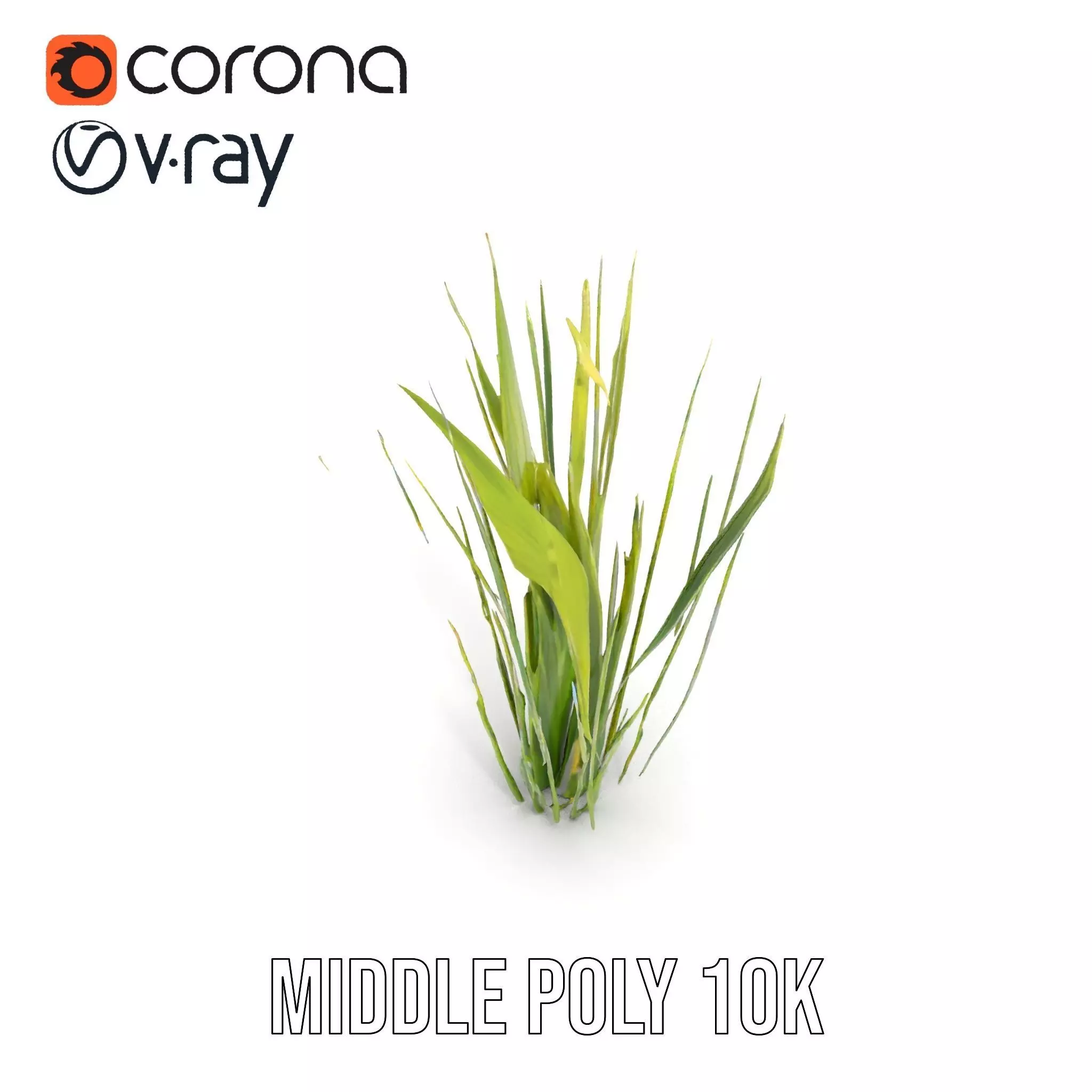 Tall Grass Foliage model pack Low-poly 3D model_5