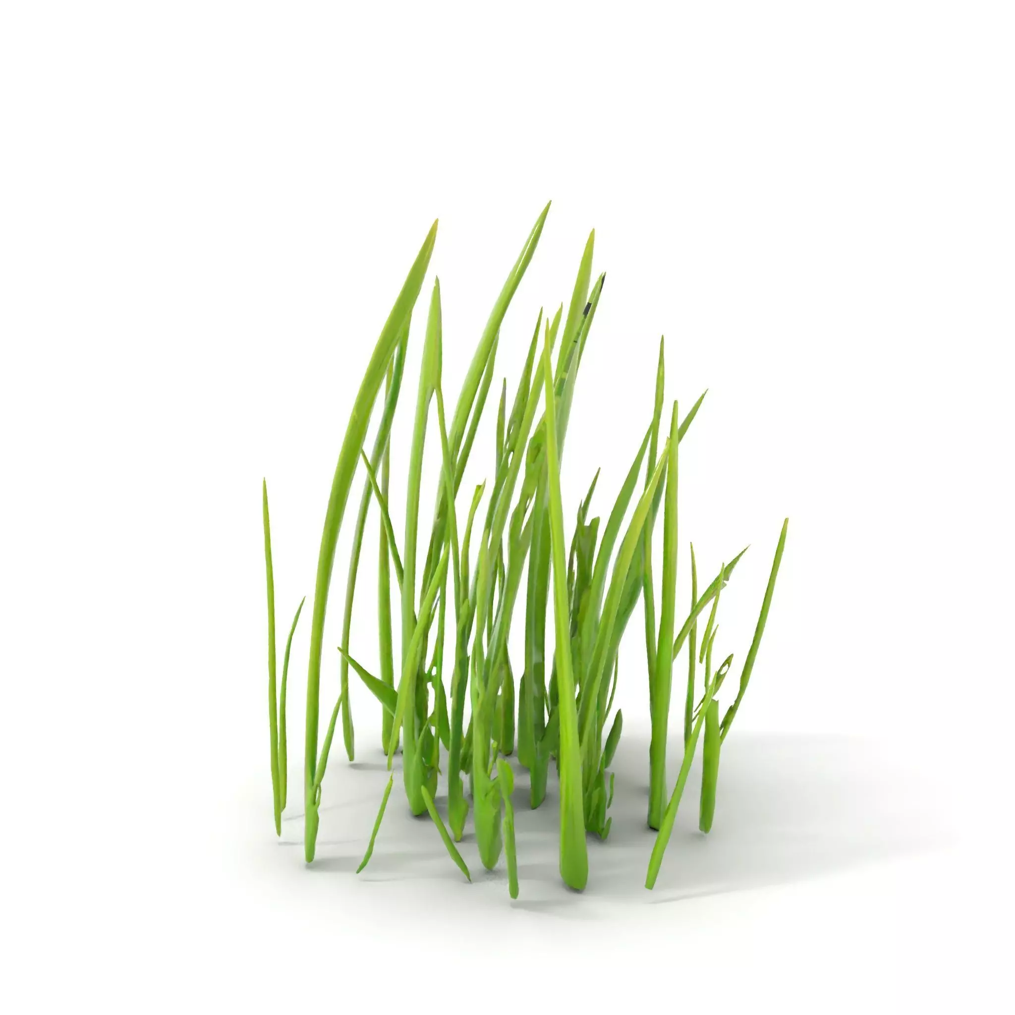 Lush Grass Blades model pack Low-poly 3D model_6
