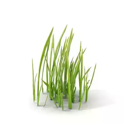 Lush Grass Blades model pack Low-poly 3D model