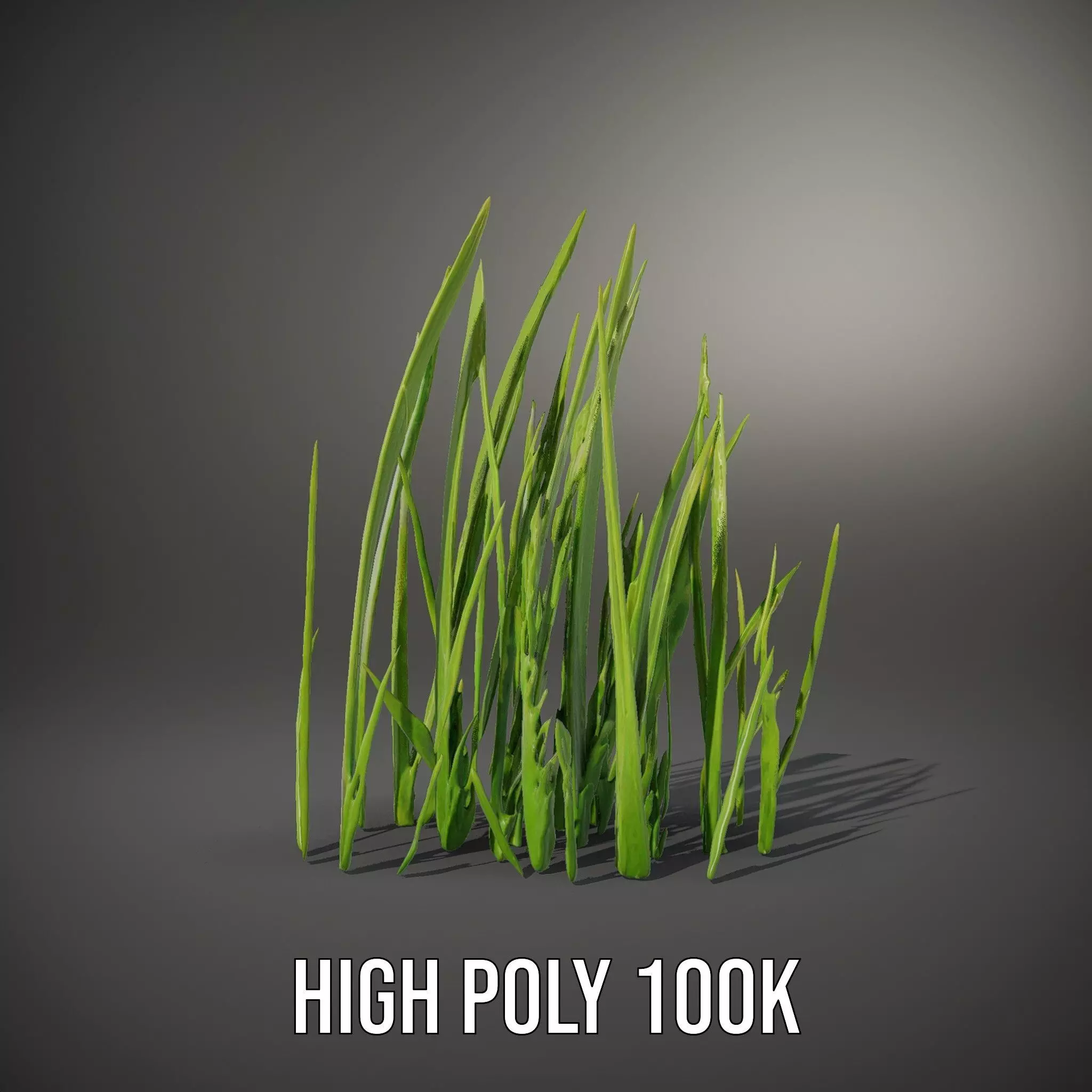 Lush Grass Blades model pack Low-poly 3D model_34