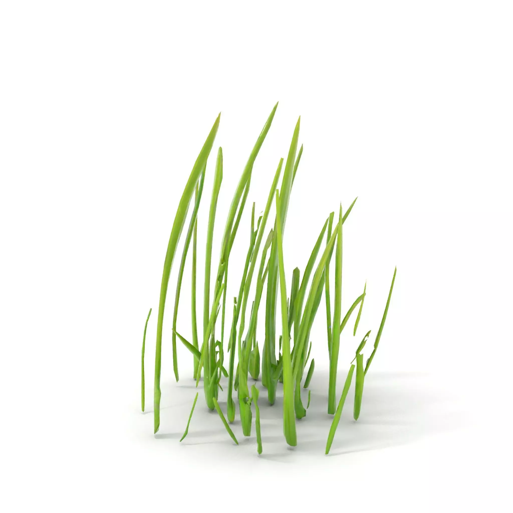 Lush Grass Blades model pack Low-poly 3D model_7