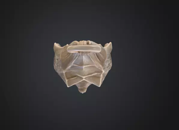Candle Holder Low-poly 3D model_13