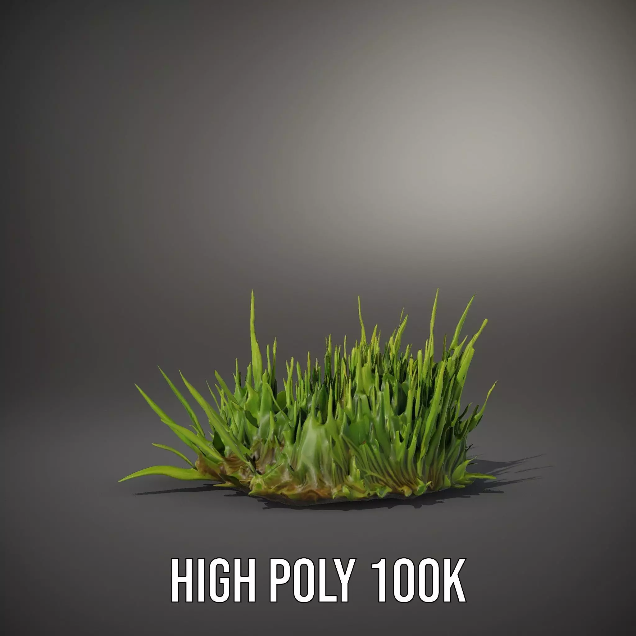 Lush Grass Foliage model pack Low-poly 3D model_33