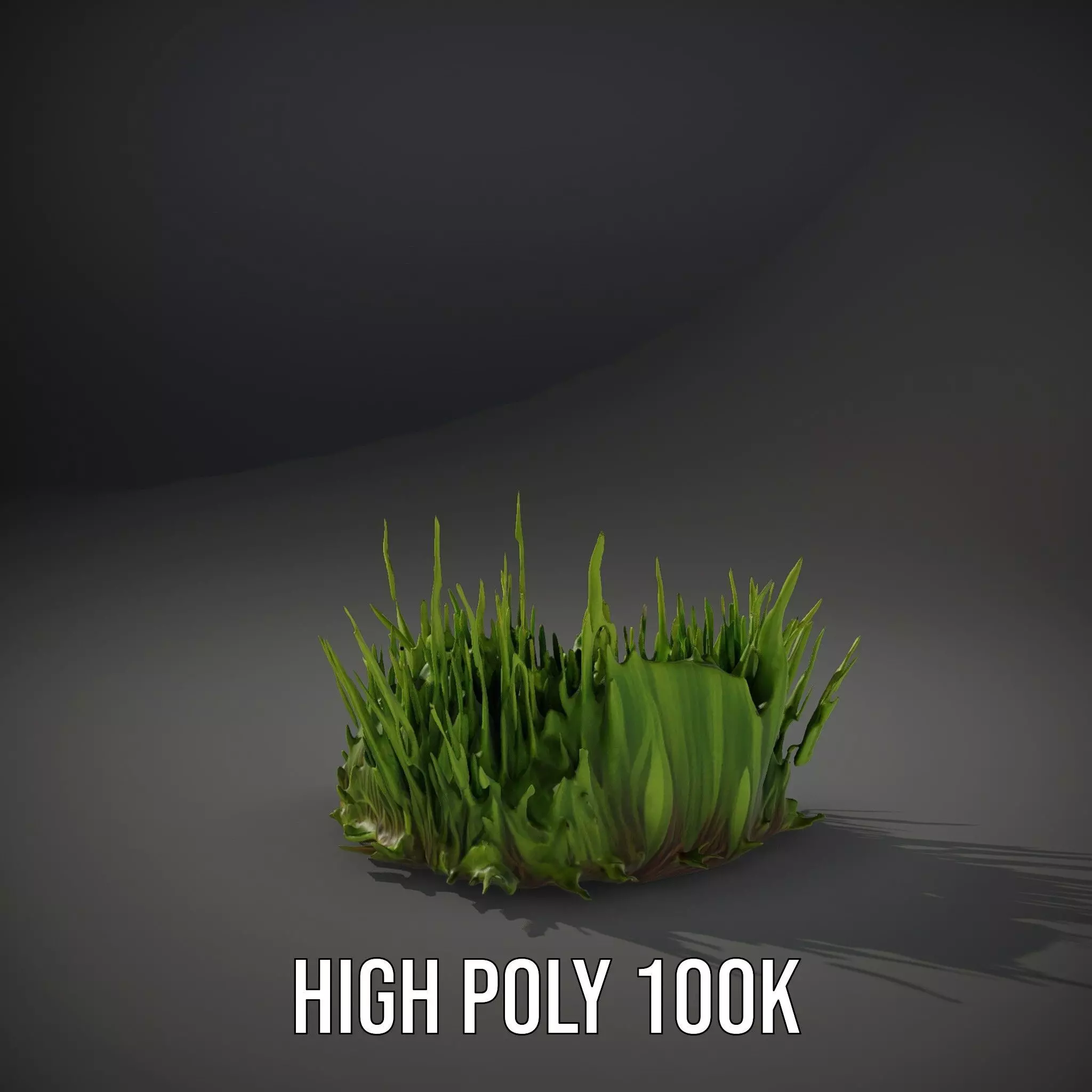 Lush Grass Foliage model pack Low-poly 3D model_32