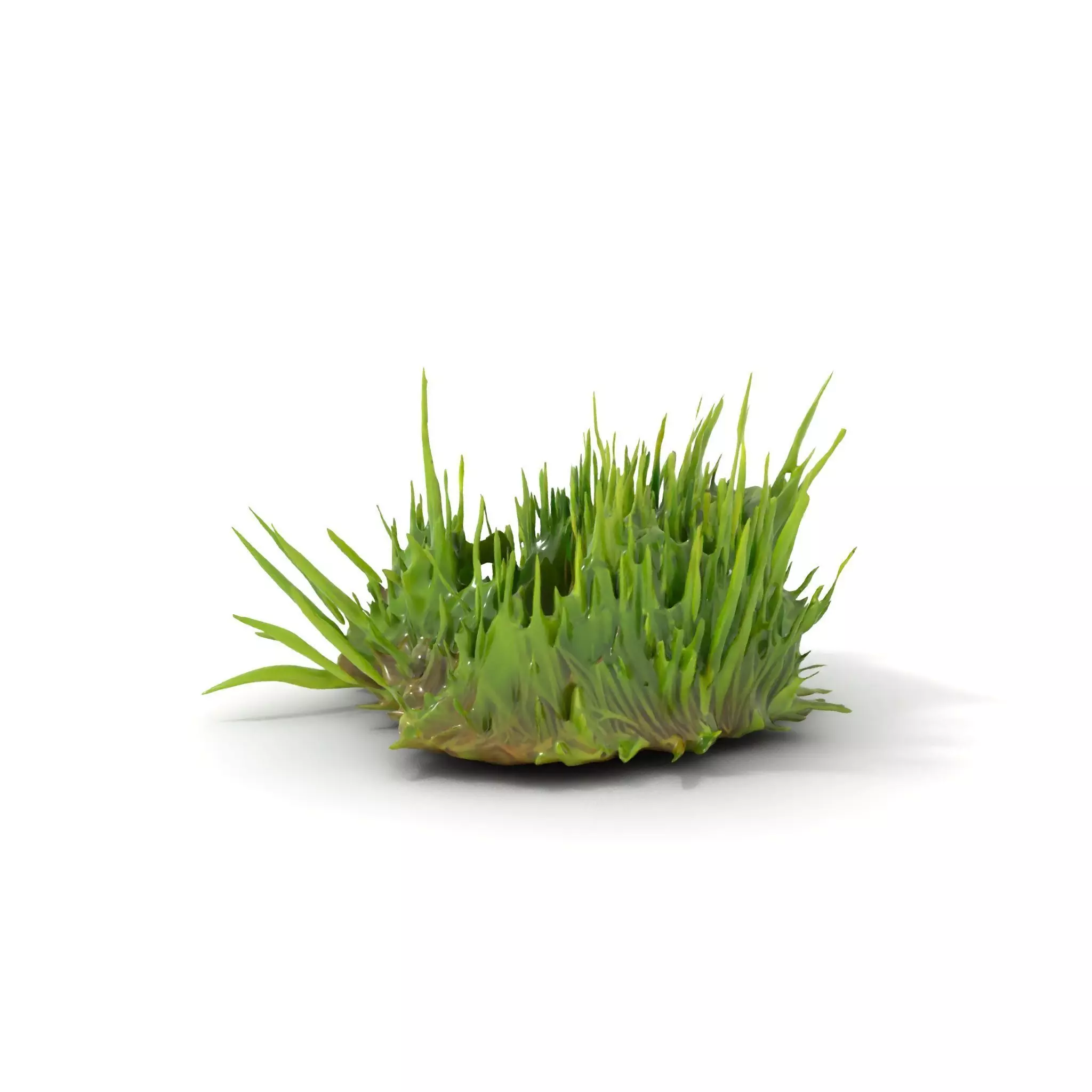 Lush Grass Foliage model pack Low-poly 3D model_0