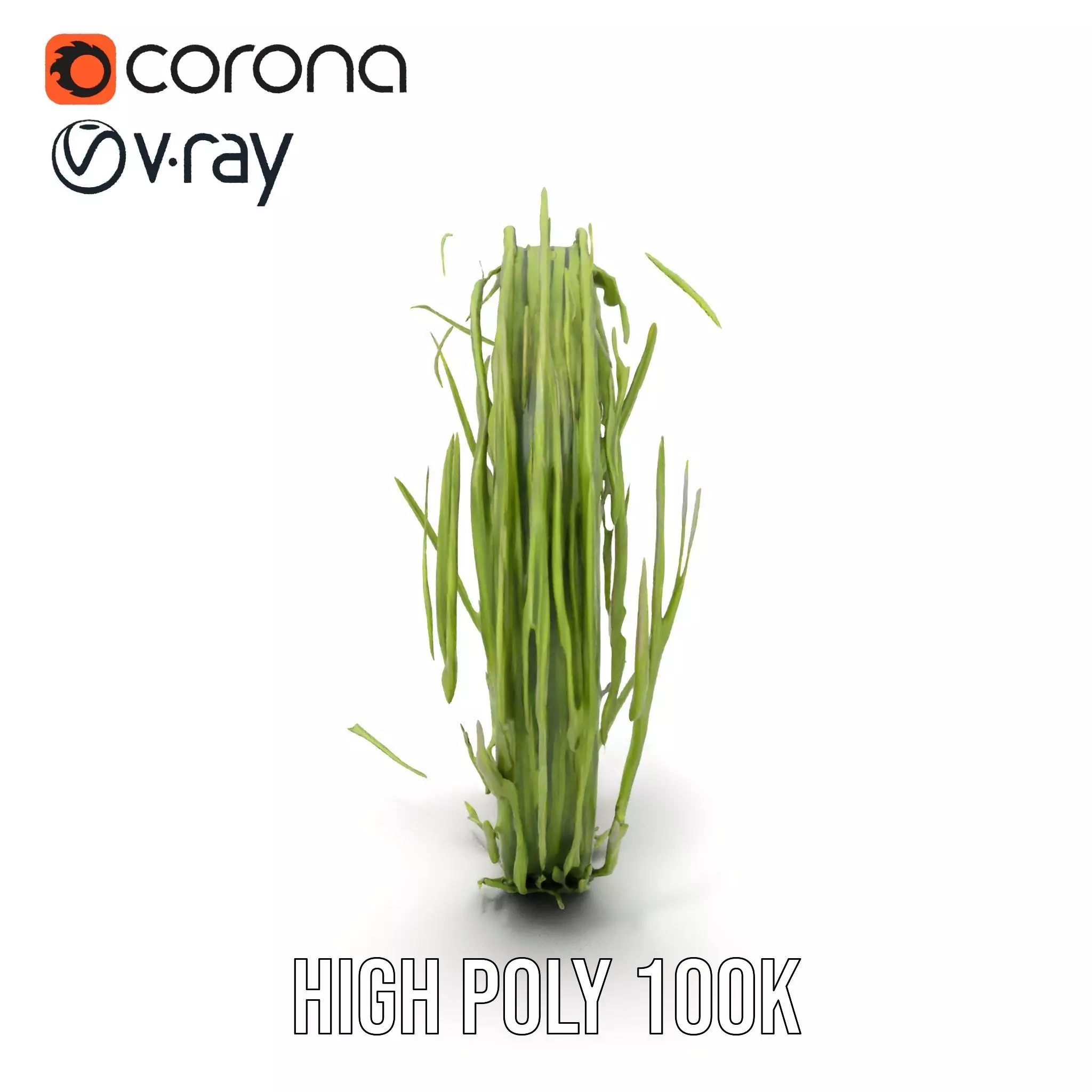 Green Grass Wreath model pack Low-poly 3D model_14