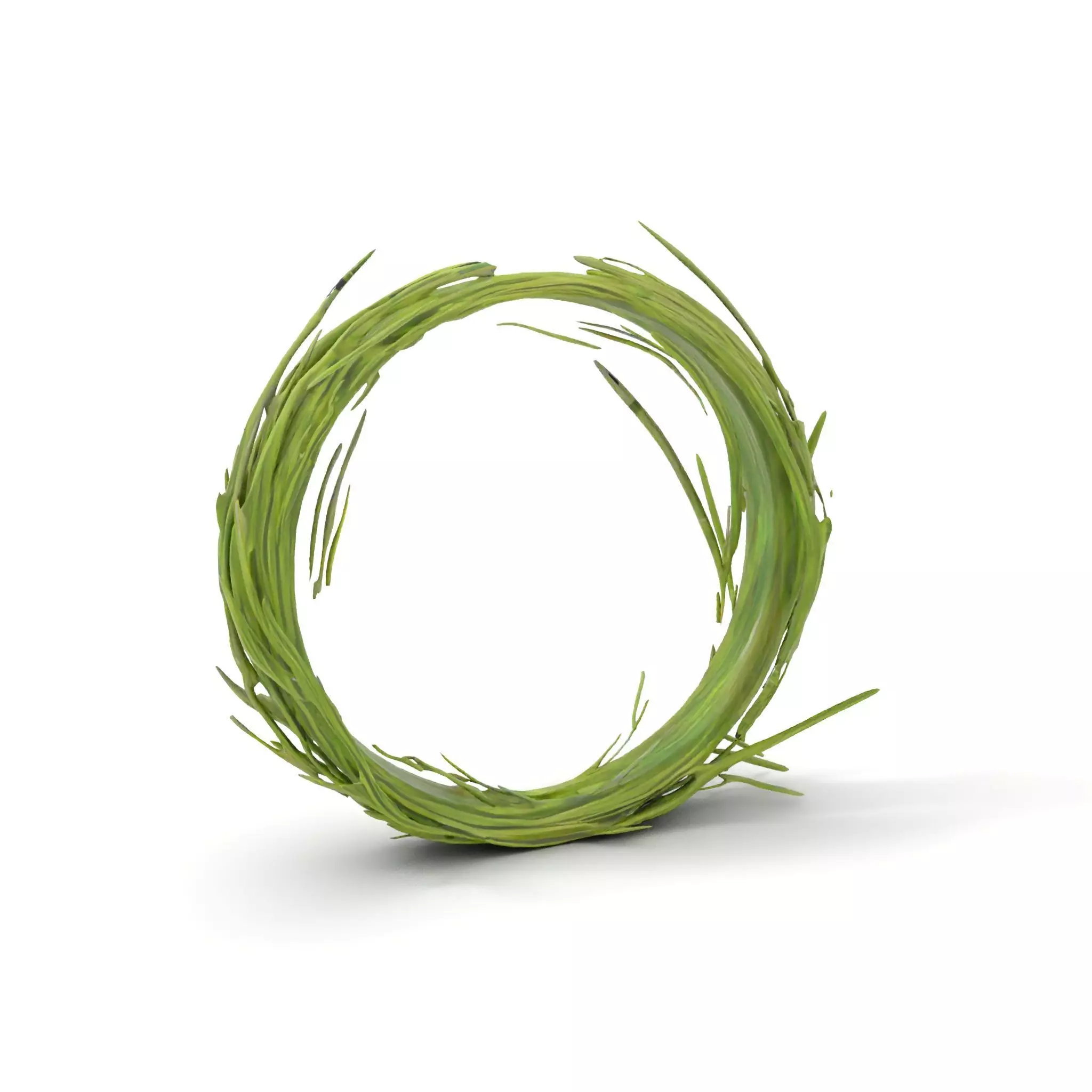 Green Grass Wreath model pack Low-poly 3D model_15