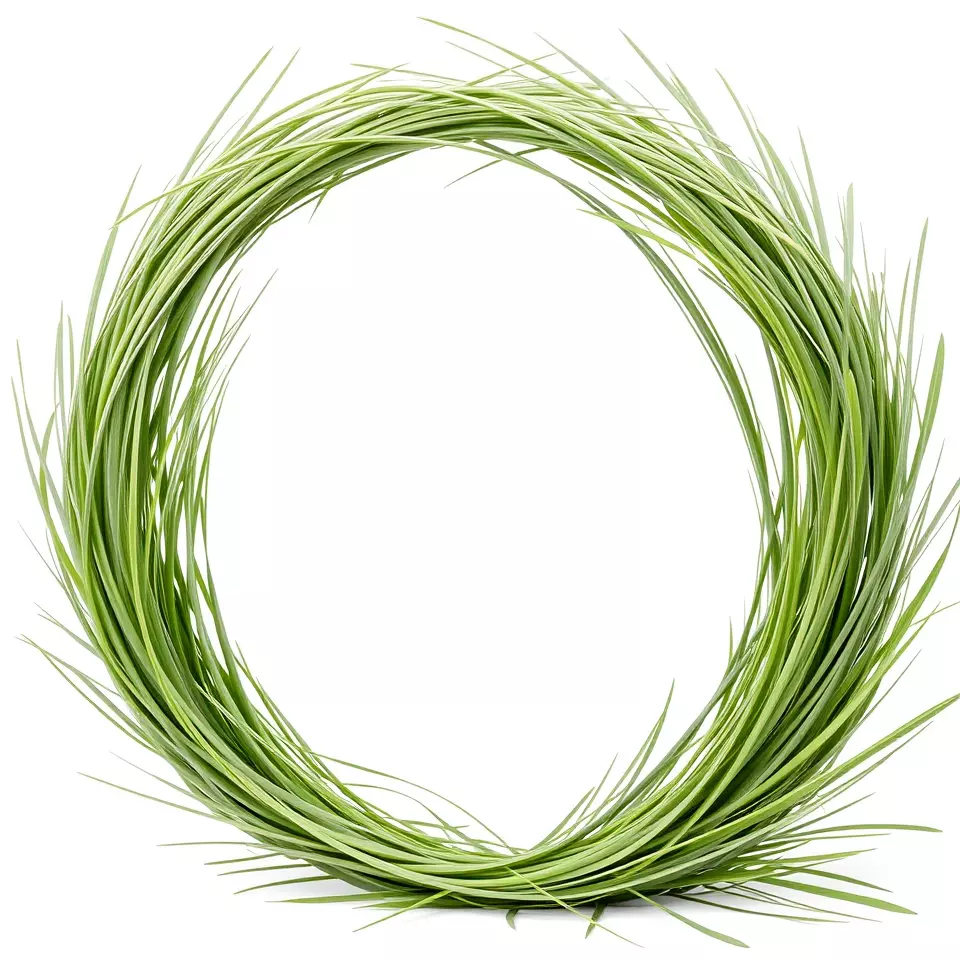 Green Grass Wreath model pack Low-poly 3D model_2