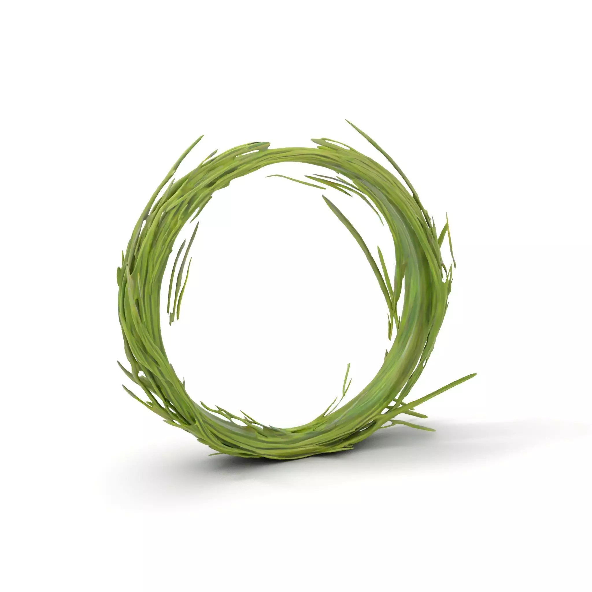 Green Grass Wreath model pack Low-poly 3D model_0