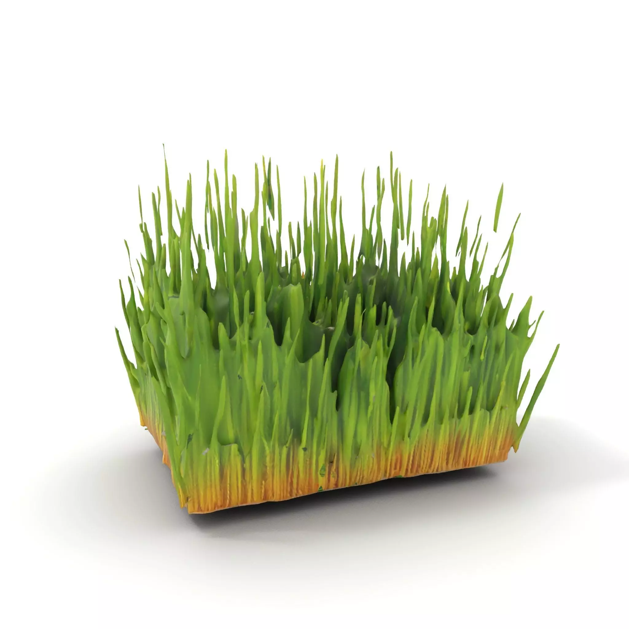 Vibrant Green Grass model pack Low-poly 3D model_0