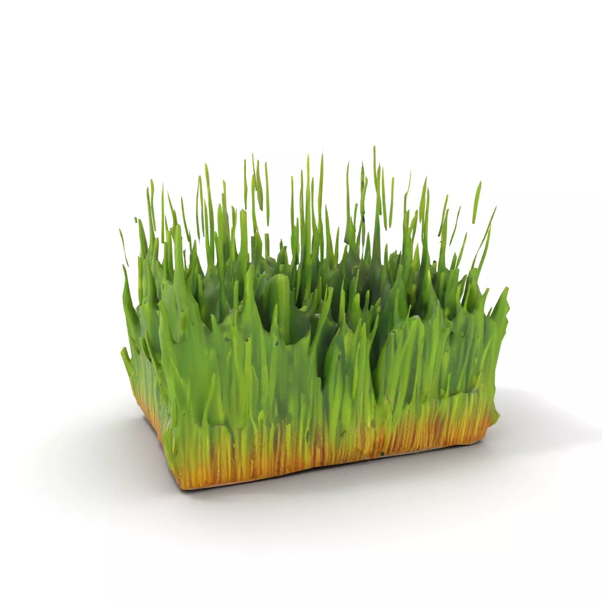 Vibrant Green Grass model pack Low-poly 3D model_6
