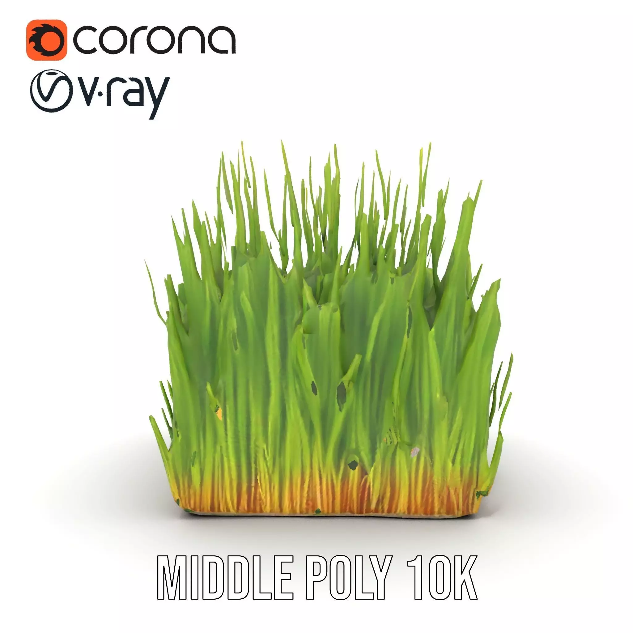 Vibrant Green Grass model pack Low-poly 3D model_24