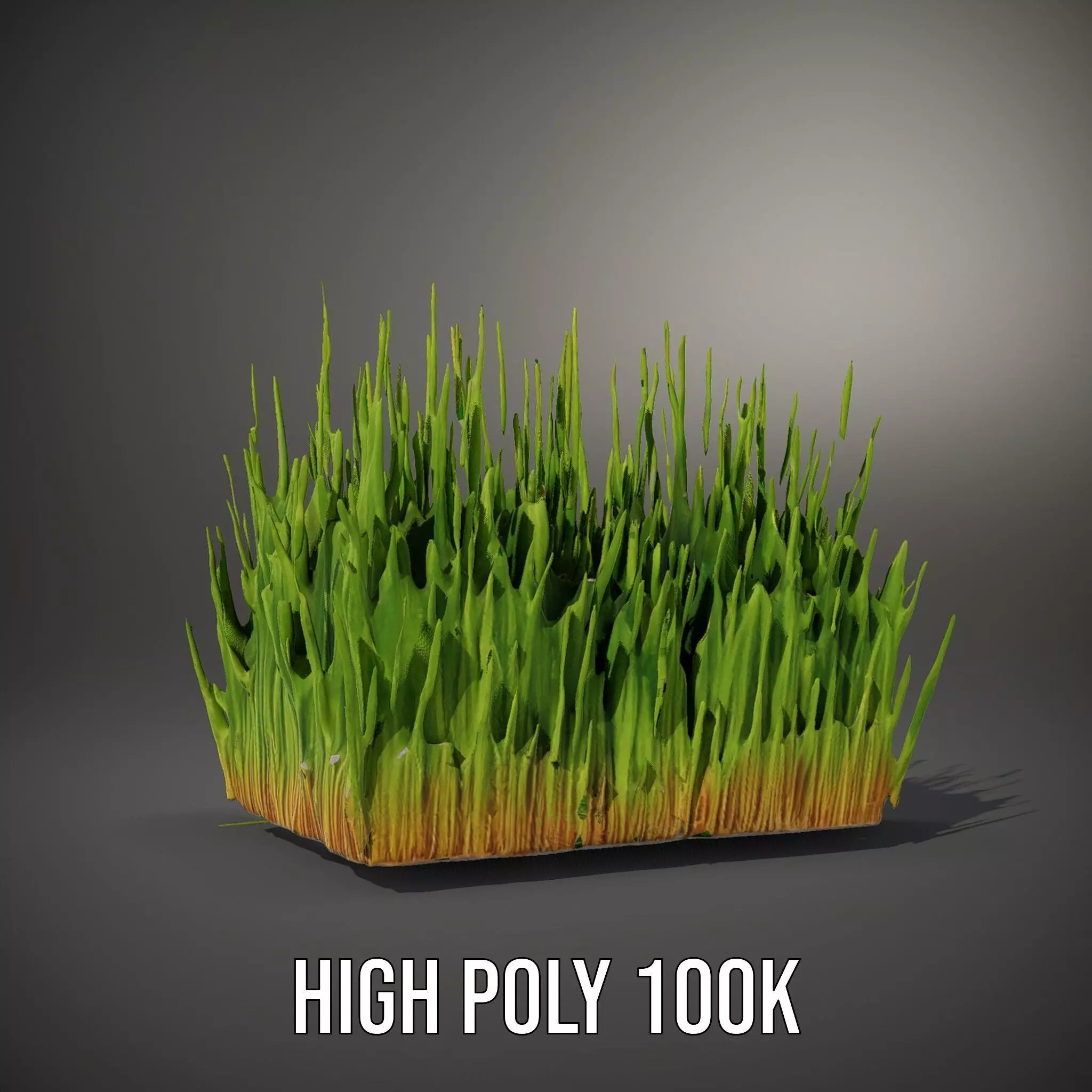 Vibrant Green Grass model pack Low-poly 3D model_8
