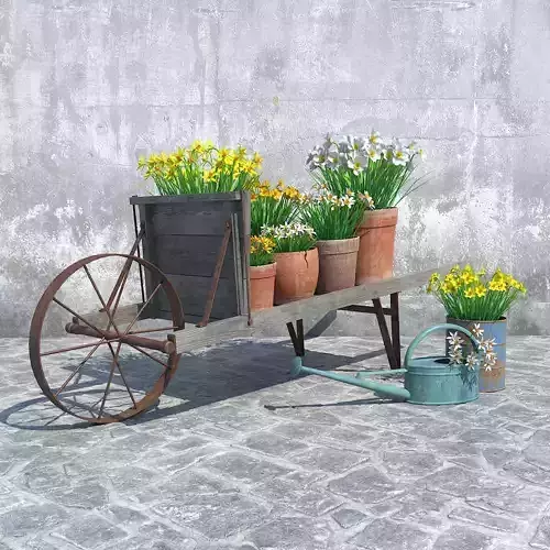 Narcissus - Set 1 wheelbarrow with potted flowers and watering can