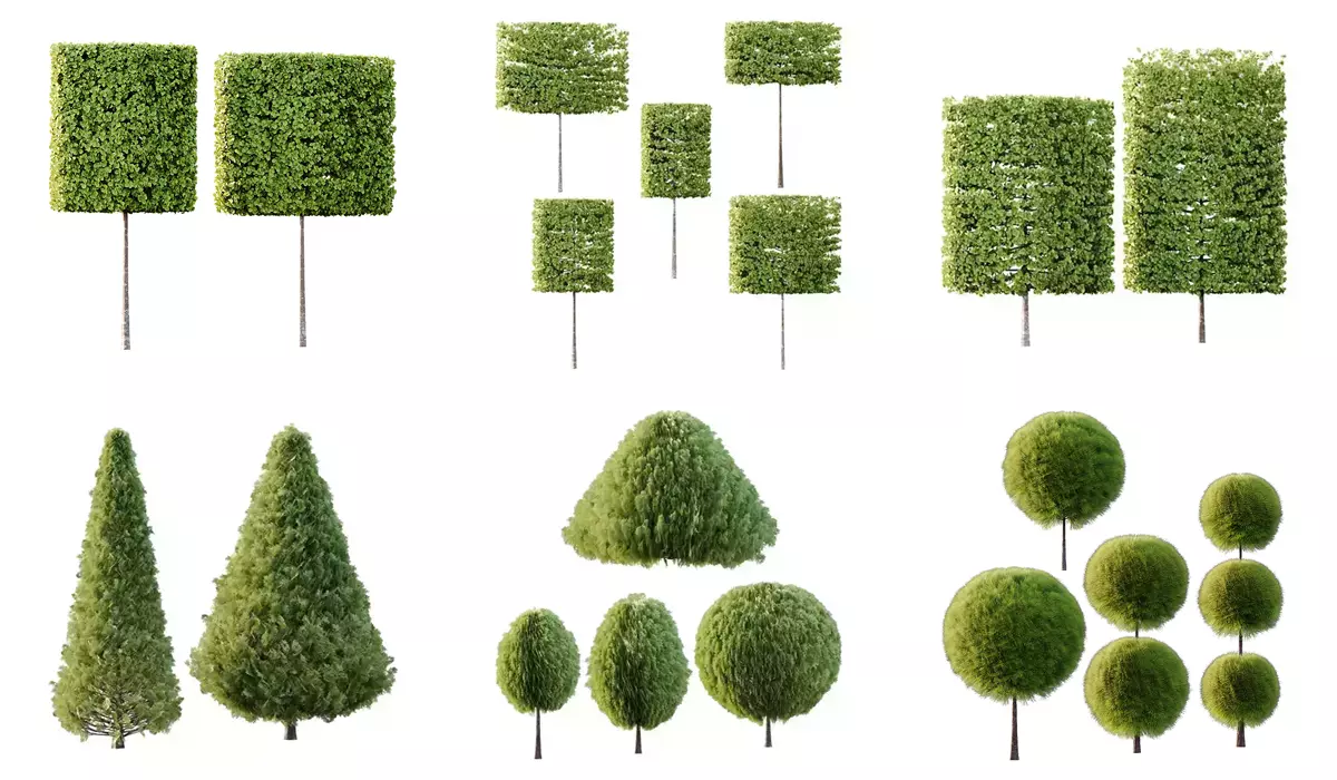 Excellent collection of Outdoor plants 19 Different Models 004 _0