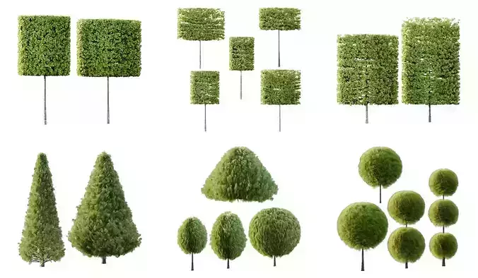 Excellent collection of Outdoor plants 19 Different Models 004  Excellent collection of Outdoor plants 19 Different Models 004